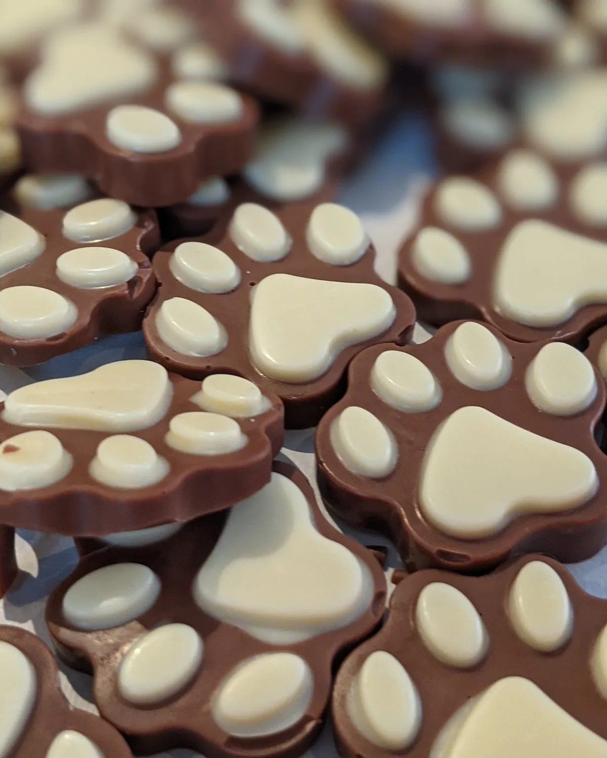 Chocolate paw prints